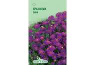 Брахикома синяя - цветы, 0,1 г семян, ТМ Элитсорт фото, цена